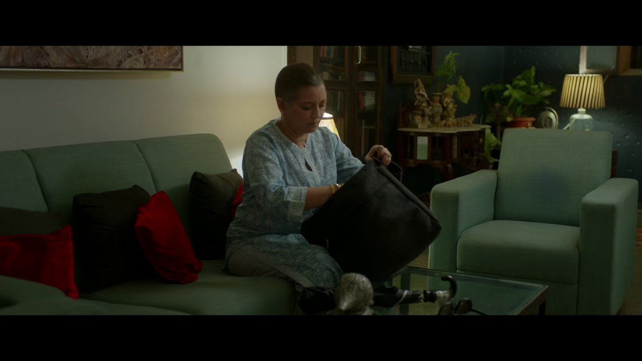 The Signature (2024) WEB-DL Hindi 720p 10bit HEVC DDP 5.1 ESub.mkv.0004